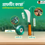 গ্রাফটিং কম্বো